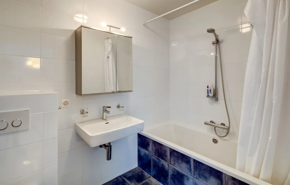 湖光山色的学区豪华别墅