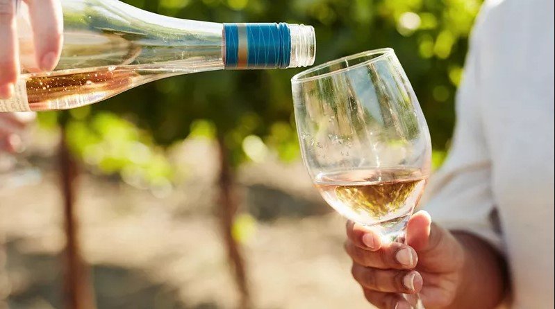 第 6 天 ： 前往阳光明媚的圣特罗佩和阿维尼翁  法国里维埃拉  圣特罗佩  阿维尼翁