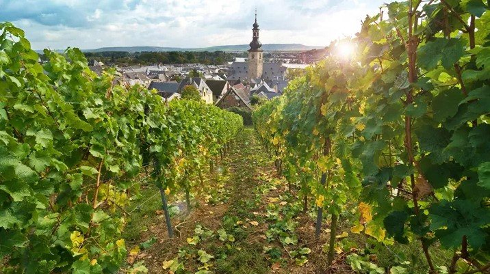 第 2 天 ： 别客气  与当地人联系  在莱茵兰享受观光游船  阿姆斯特丹  海德堡  博帕德  圣戈尔  莱茵兰-普法尔茨