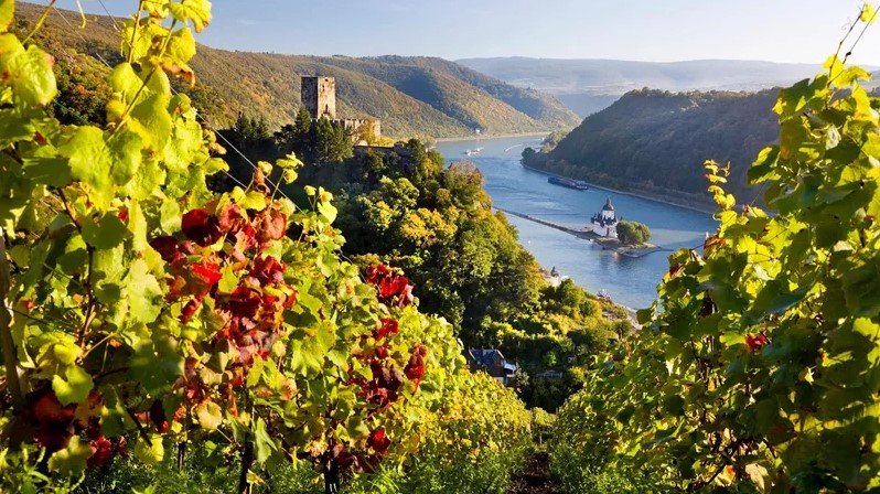 第 24 天 ： 特拉法加差异  留在故事里  在莱茵兰享受观光游船  琉森  海德堡  圣戈尔  科布伦茨