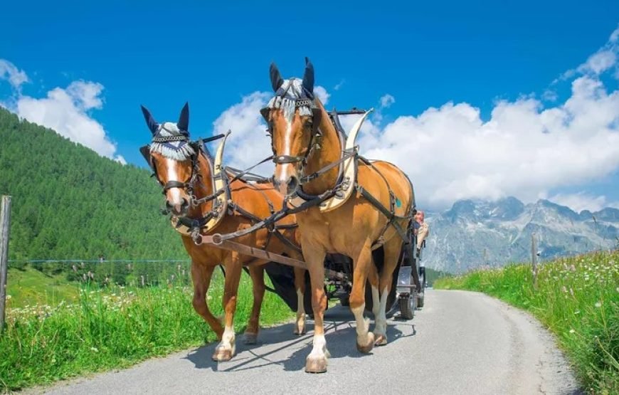 经典欧洲11国（全包尊享旅游）