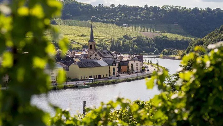 第 2 天 ： 在莱茵兰欣赏科隆和游轮  阿姆斯特丹  科隆  博帕德  圣戈尔  莱茵兰