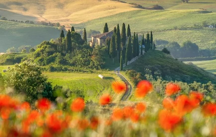 19 天10国欧洲之旅（全包尊享旅游）