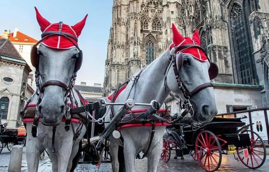 畅行伟大的欧洲（全包尊享旅游）