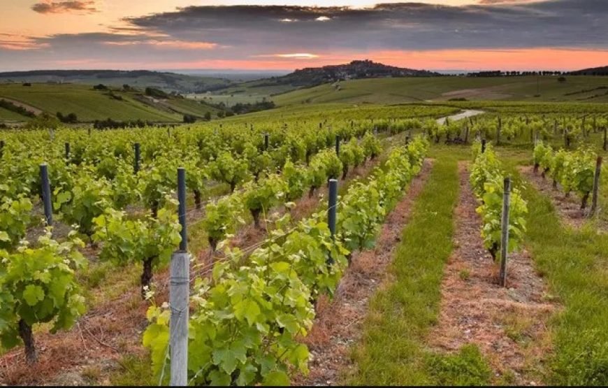 诺曼底、布列塔尼和卢瓦尔河谷（普通旅游）