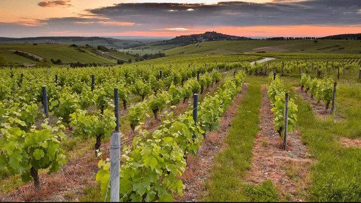 第5天 ：维朗德里体验