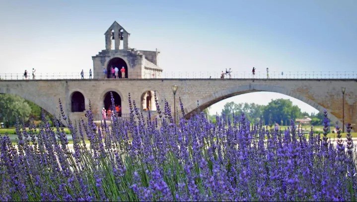 第 18 天  从教皇阿维尼翁到勃艮第的旅程  法国里维埃拉  阿维尼翁  博讷